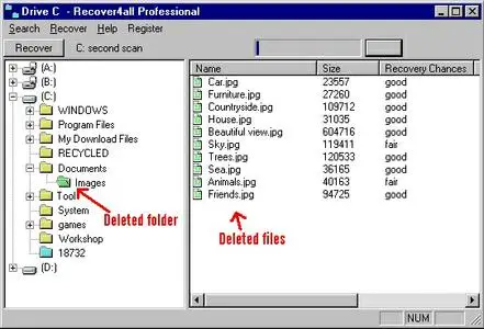 Recover4all Professional 5.01 Portable