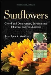 Sunflowers: Growth and Development, Environmental Influences and Pests/Diseases (repost)