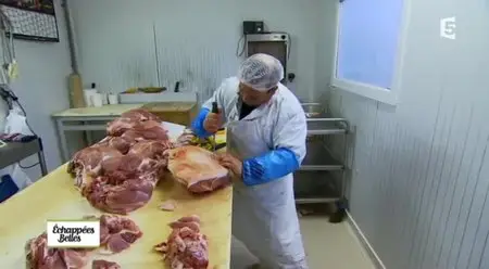 (Fr5) Échappées belles - Le Périgord en quatre couleurs (2013)