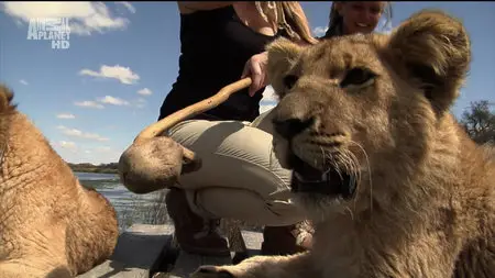 Karina - Wild on Safari - S01E11