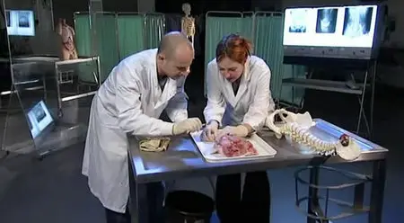 Don't Die Young - Series 2 (2007)