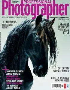 Professional Photographer Magazine (UK) June 2013