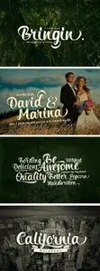 Bringin Script Font