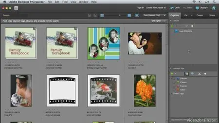 Video2Brain - Combining Images with Photoshop Elements 9