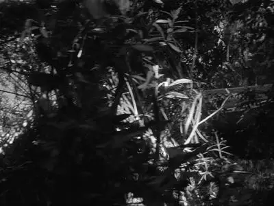 The Outer Limits S01E06