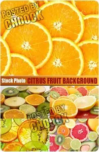 Citrus fruit background - Stock Photo