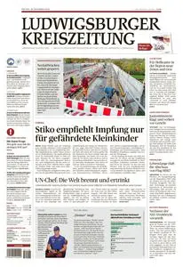 Ludwigsburger Kreiszeitung LKZ  - 18 November 2022