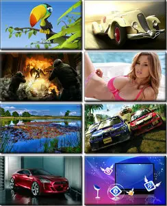 Amazing Desktop Wallpapers (76)