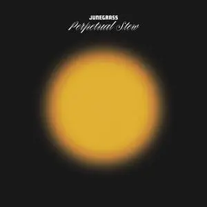 Junegrass - Perpetual Stew (2024) [Official Digital Download]