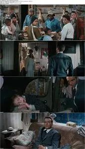Wild River (1960)