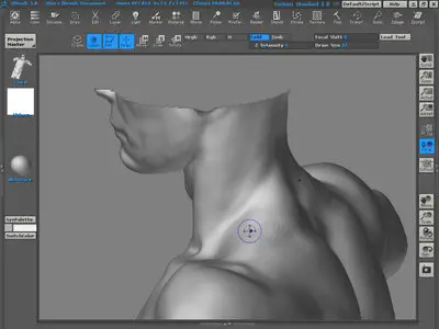 The Gnomon Workshop - Digital Sculpting: Human Anatomy [repost]