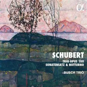 Busch Trio - Schubert - Trio Opus 100, Sonatensatz & Notturno (2020) [Official Digital Download 24/96]
