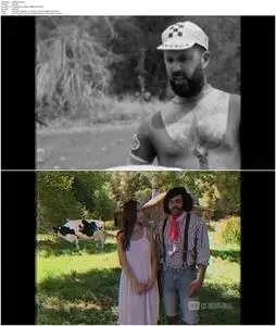Tour de Pharmacy (2017)