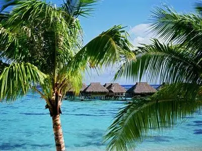 French Polynesia - Wallpapers