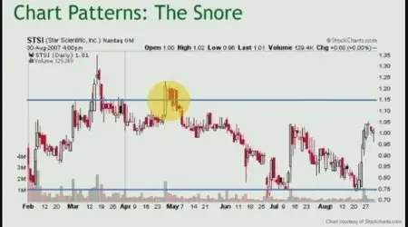 Timothy Sykes - Trading Strategy: Full Course (8 DVDs)