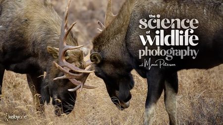 The Science of Wildlife Photography
