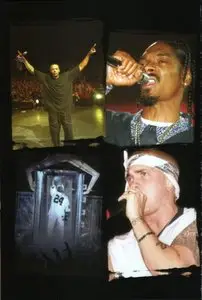VA - The Up In Smoke Tour [DVD9] (2000)
