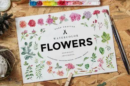 CreativeMarket - Watercolor Flowers Pack Vol 1