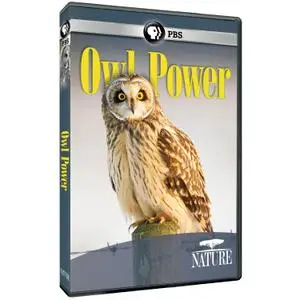 PBS - Nature: Owl Power (2015)