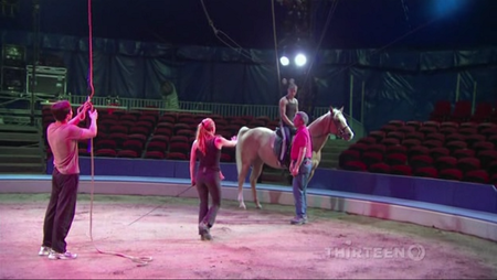 PBS - Circus (2010)
