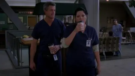 Grey's Anatomy S06E19