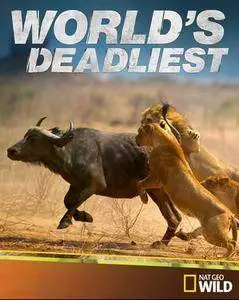 National Geographic - Worlds Deadliest Animal Ninja Warriors (2016)