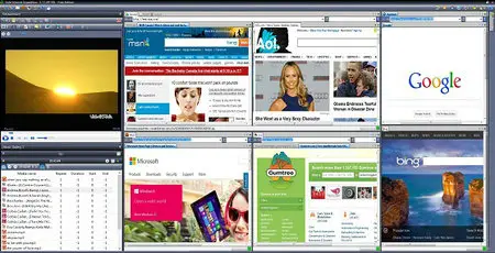 Vole Internet Expedition 3.12.40308 Professional Edition Portable