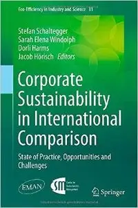 Corporate Sustainability in International Comparison: State of Practice, Opportunities and Challenges