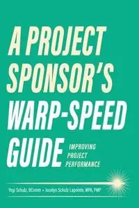 A Project Sponsor's Warp-Speed Guide: Improving Project Performance
