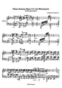 BeethovenLv - Sonata No. 32 (1st Movement)