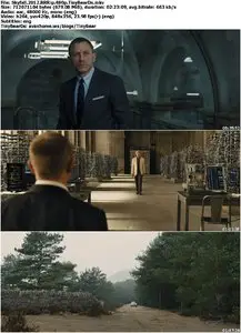 Skyfall (2012) [Reuploaded]