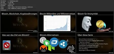 Blockchain & Kryptowährungen - Bitcoin Und Co Durchleuchtet