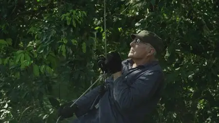 Il était une forêt / Once Upon A Forest (2013)