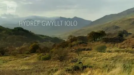 S4C - Hydref Gwyllt Iolo Series 1 (2021)