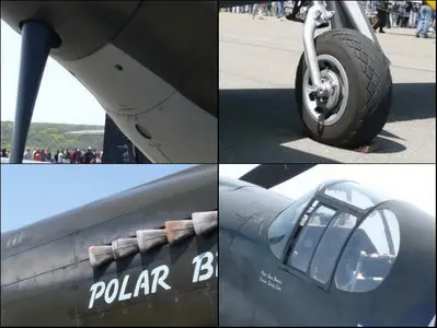 North American P-51A-1NA Mustang Walk Around