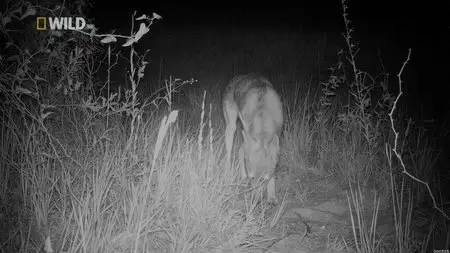 National Geographic - Phantom Killer Mystery (2012)