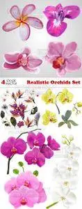 Vectors - Realistic Orchids Set