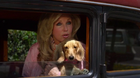 Wiener Dog Internationals (2015)