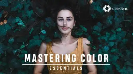 Mastering Color Essentials Course