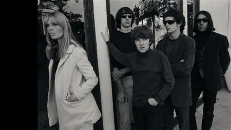 The Velvet Underground (2021) [The Criterion Collection]