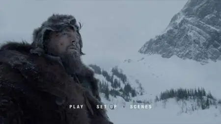 The Revenant (2015)