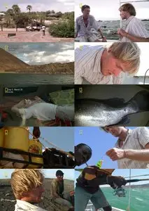 National Geographic - Fish Warrior: Nile Mammoth (2011)
