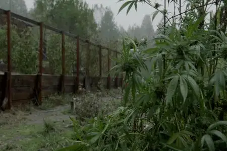 Murder Mountain S01E01