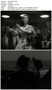 The Lady Takes a Sailor (1949)