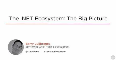 The .NET Ecosystem: The Big Picture