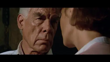 Canicule (1984) Dog Day
