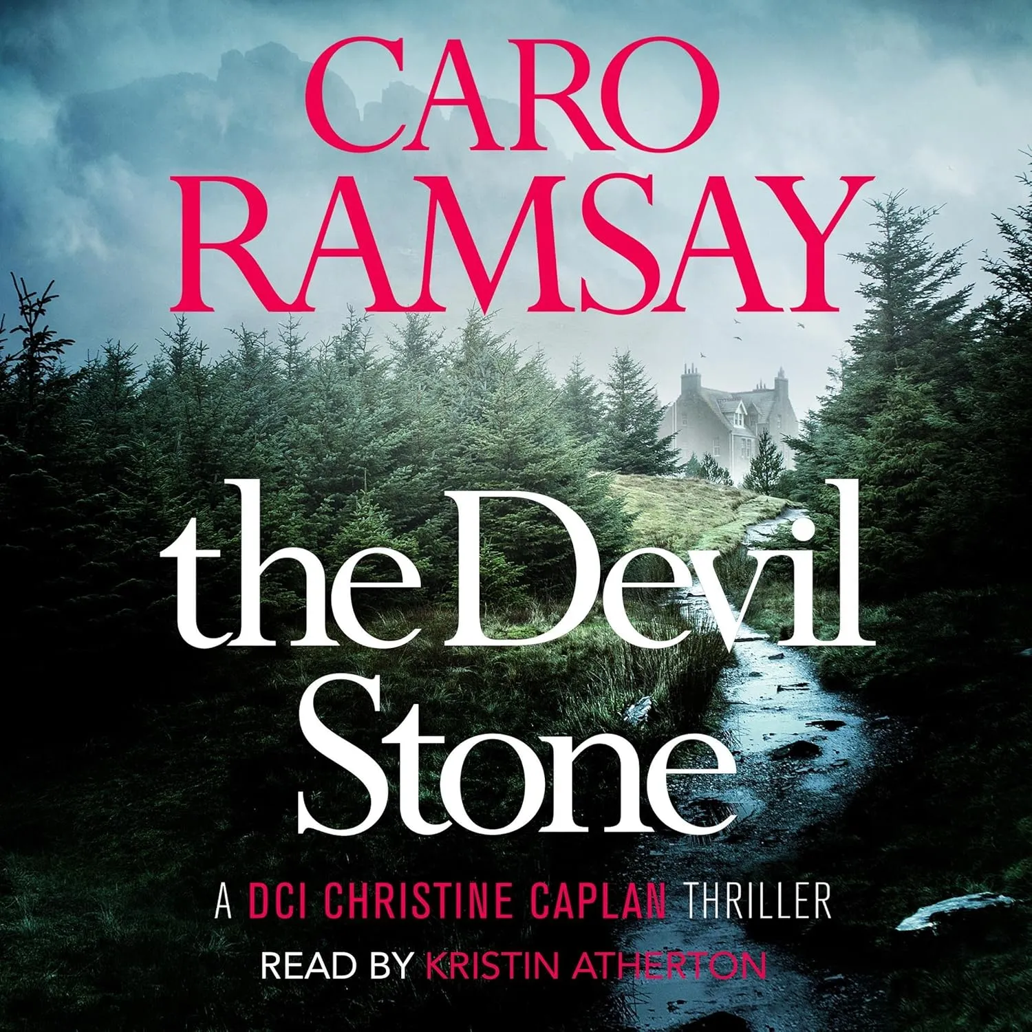 The Devil Stone: DCI Christine Caplan
