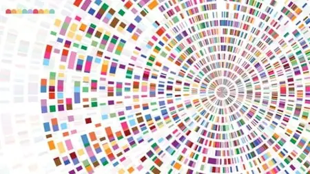 Genome Wide Characterization Of Gene Family | Bioinformatics