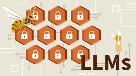 The OWASP Top 10 for Large Language Model (LLM) Applications: An Overview