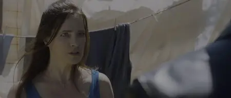 The Guest (2014) [MultiSubs] + Commentary